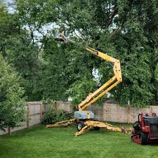 How Our Tree Care Process Works  in  Stigler, OK