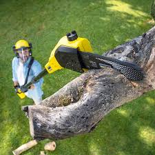 Best Tree Cabling and Bracing  in Stigler, OK