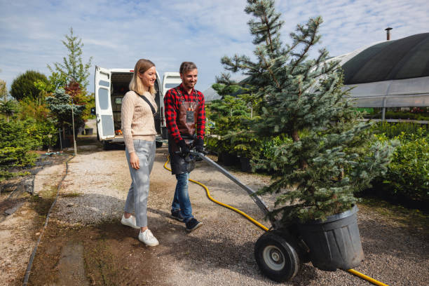 Best Lawn Grading and Leveling  in Stigler, OK